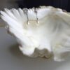 witgoud vergulde pareloorbellen dames met zirconia steker